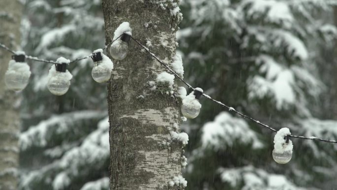 派对灯链在雪地里。前景是雪和桦树。