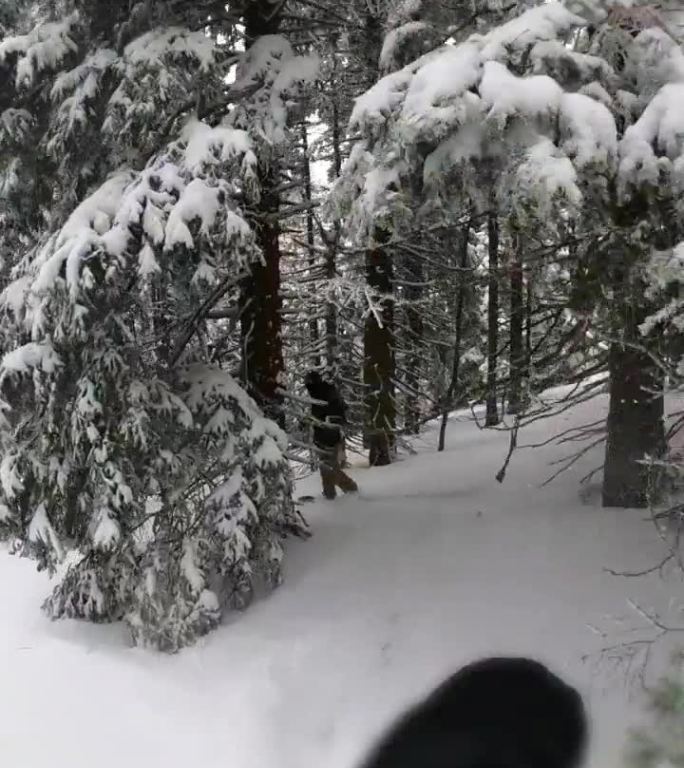 男子滑雪板运动员在山上的镜头。朋友们在树林里滑雪。他们在度假。