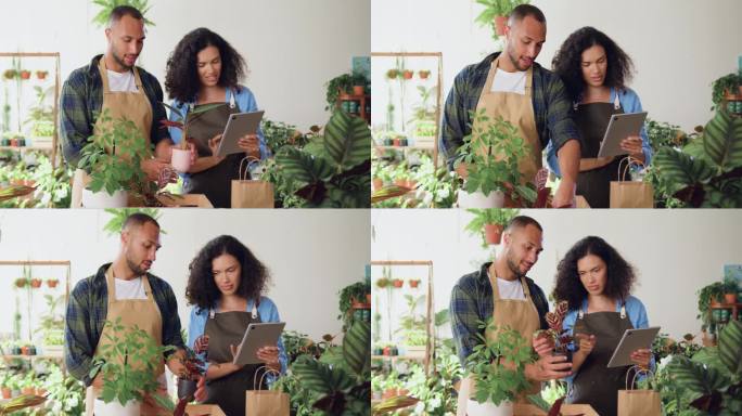 两名专业花匠，一男一女，在花店用数码平板电脑打理植物。在温室与快乐的同事团队合作。两个成功的同事，园