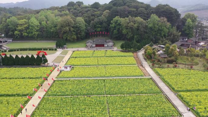 龙岩市上杭古田会议纪念馆会址油菜花田航拍