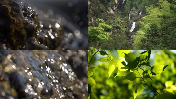 山水溪流山泉植物森林大自然风景