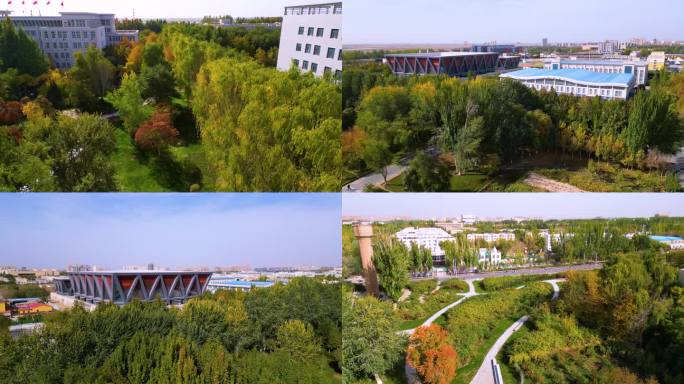 新疆塔里木大学校园B