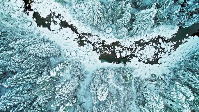 鸟瞰苍松上覆雪，江面上覆冰，水落石出。