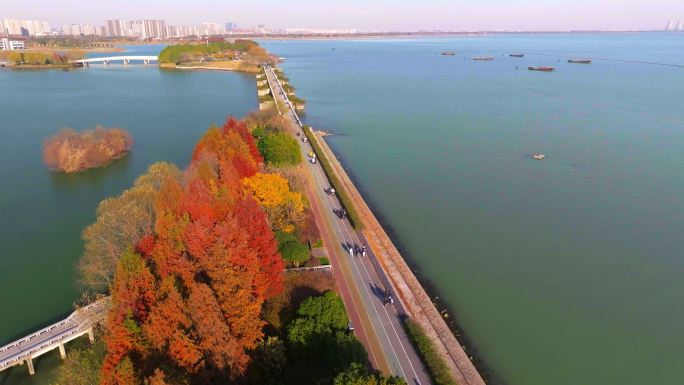 无锡太湖贡湖湾湿地公园