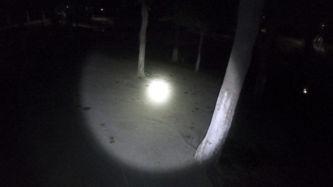 夜晚打着电筒逛公园树林