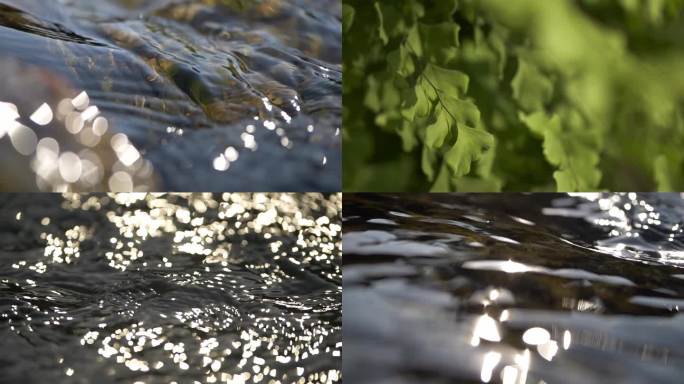 微距水流水水流山泉泉水河水溪水