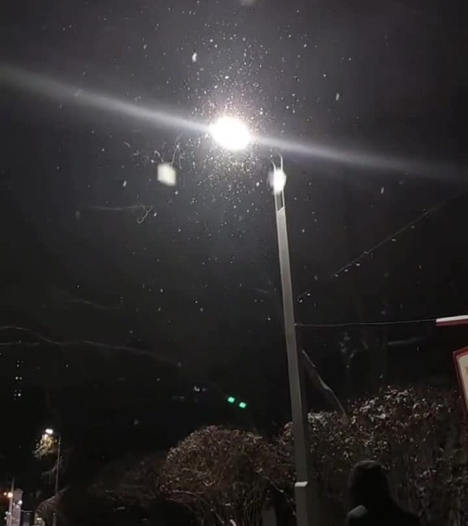 路灯下的雪