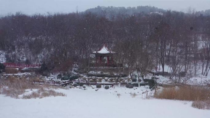 航拍大连植物园雪下雪公园雪景飘雪拱桥亭台
