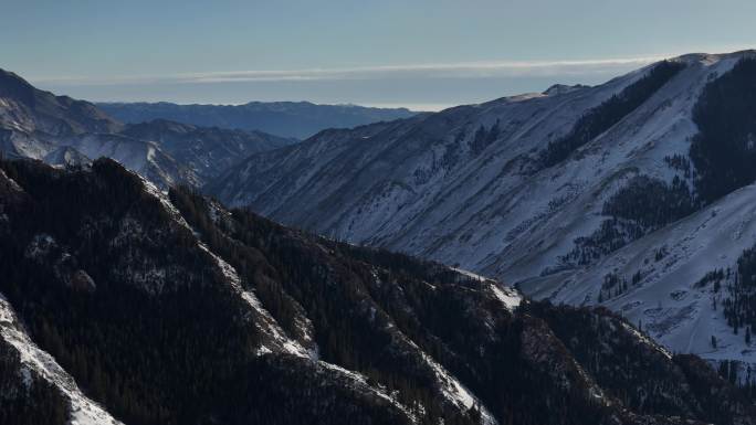 新疆天山冬季航拍雪山林海雪原