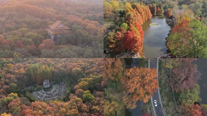 4k南京秋季地标旅游航拍宣传片全