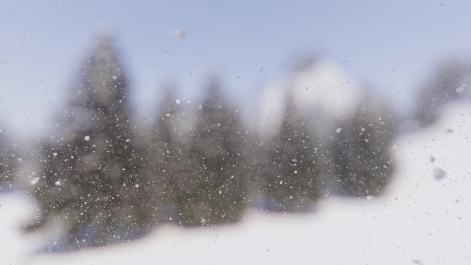 雪山松林暴雪