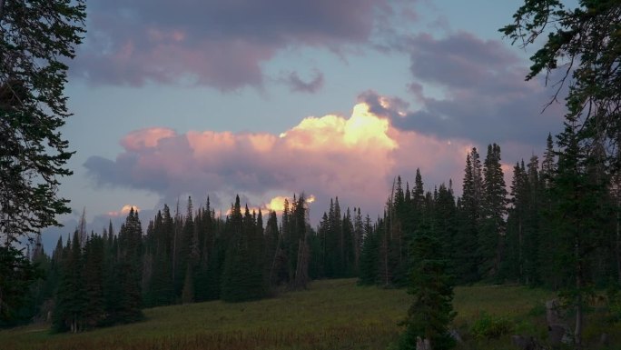 冷杉树在山与彩色日落天空。间隔拍摄