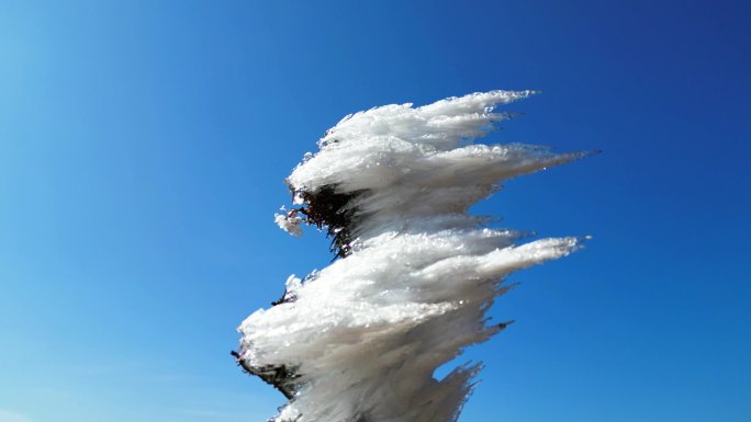 南方雾凇严寒冰挂