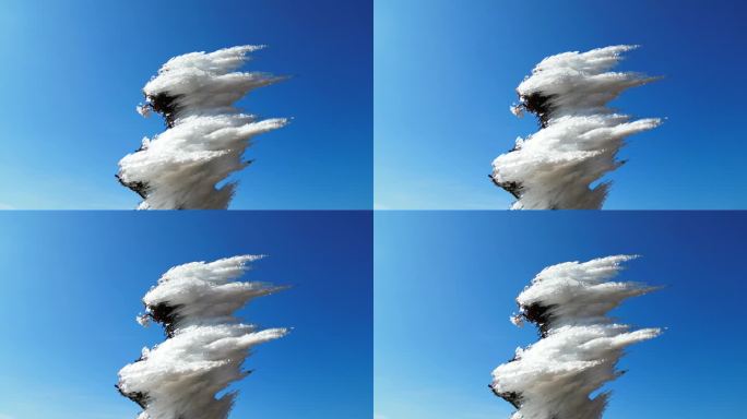 南方雾凇严寒冰挂