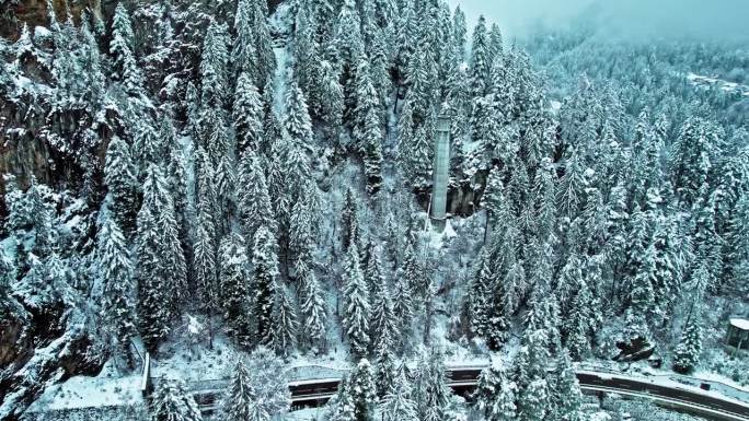 鸟瞰苍松白雪，江面冰封。