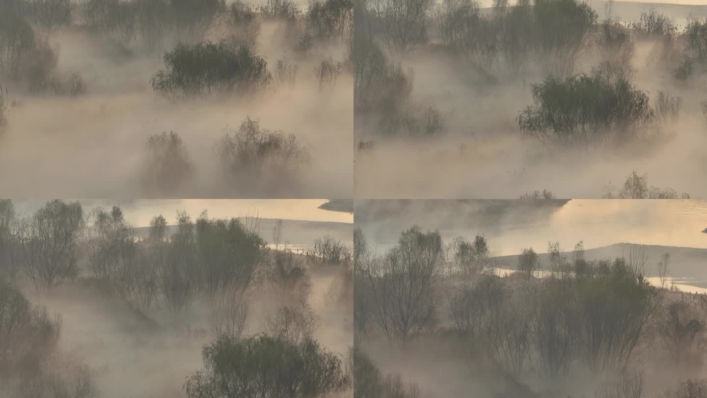 航拍晨雾中的陕西省西安市浐灞湿地