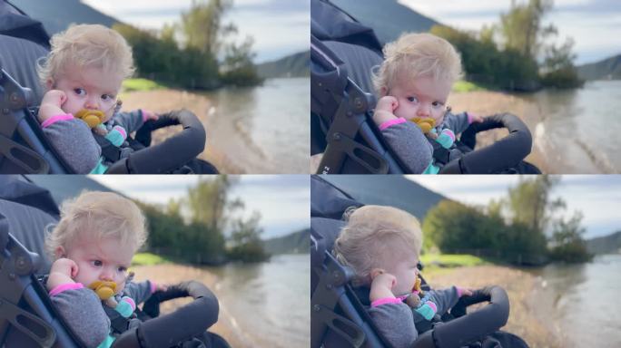 婴儿坐在婴儿车里，享受新鲜的空气和大自然的景色