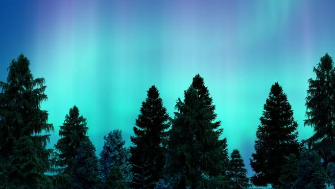 唯美雪山松树和北极光