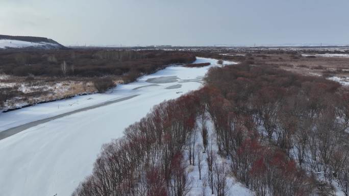 大兴安岭春天湿地河流冰雪红柳