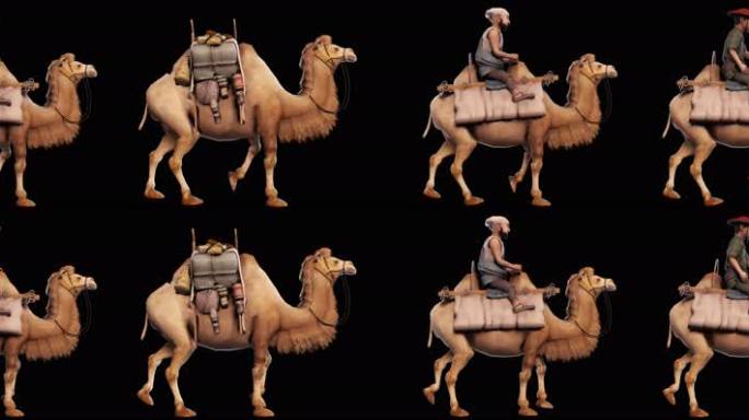 沙漠骆驼行走LED大屏投影后期合成素材