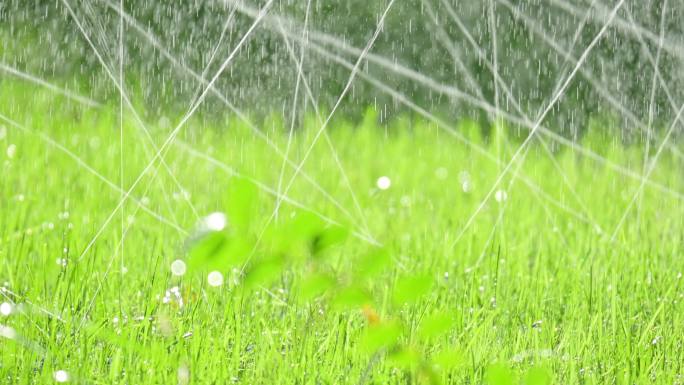 浇水 公园灌溉 小区绿化 绿色 希望