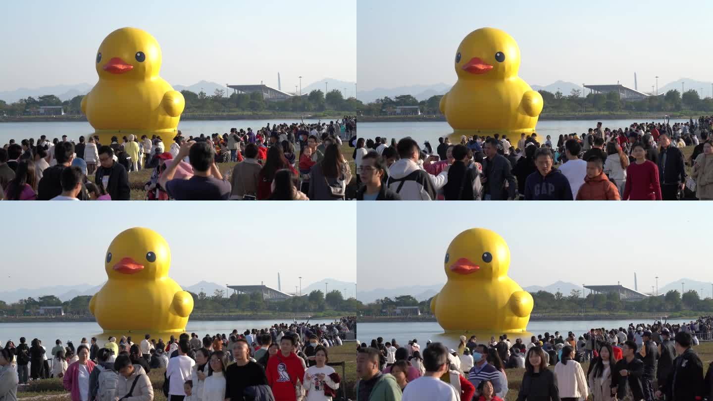 深圳湾大黄鸭RubberDuck参观人群