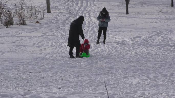 冬天雪景雪后公园郊野雪地白雪带孩子滑雪