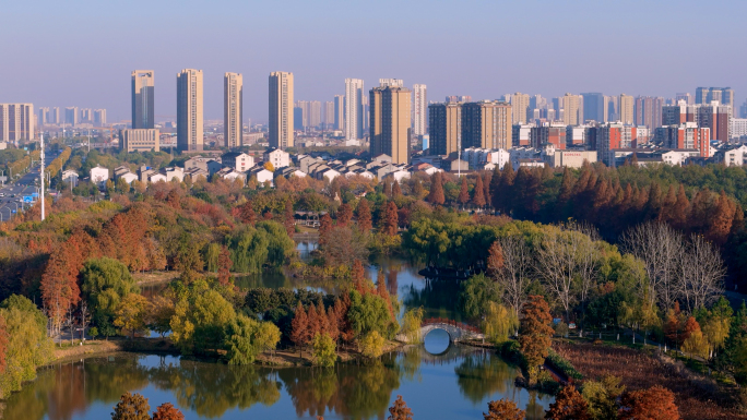 生态城市公园 湿地 红杉树树