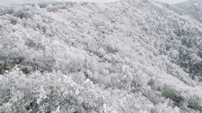 冬季雾凇美景4k