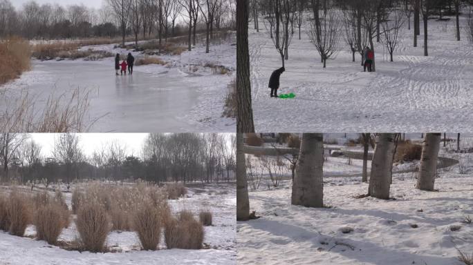 白色的世界雪景树林雪后户外周末带孩子滑冰