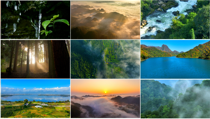 日出森林山水溪流溪水唯美风光