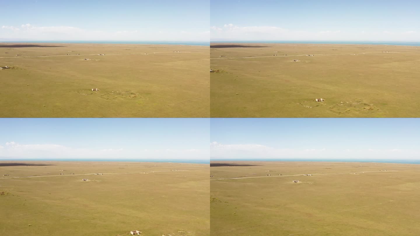 青海湖畔牧场奔跑的羊群