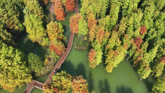 杭州青山湖的秋天