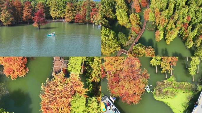 杭州青山湖的秋天