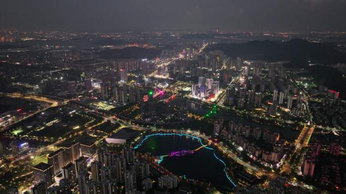 广州南沙凤凰湖夜景4K