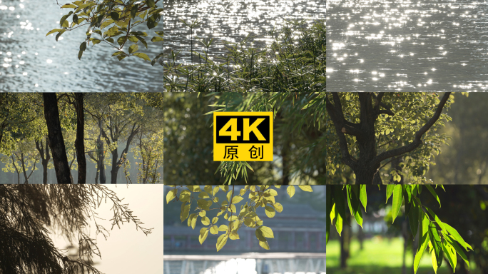 【4K超清】阳光穿透树叶逆光树荫唯美空镜