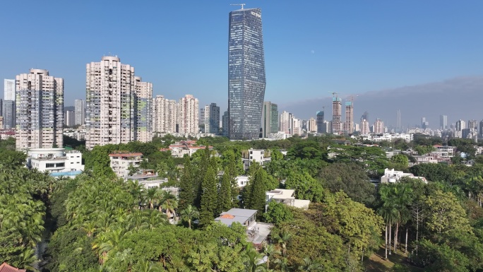 圣诞节素材素材