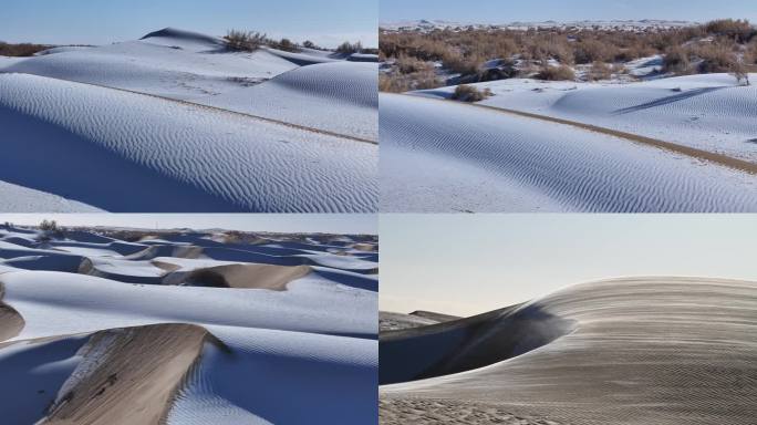 雪景 白毛风 沙漠 风沙 梭梭林 冬季