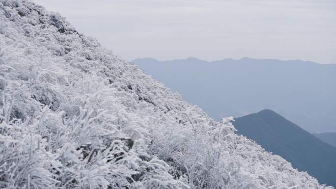 南岭山脉高山雾凇下雪冰凌