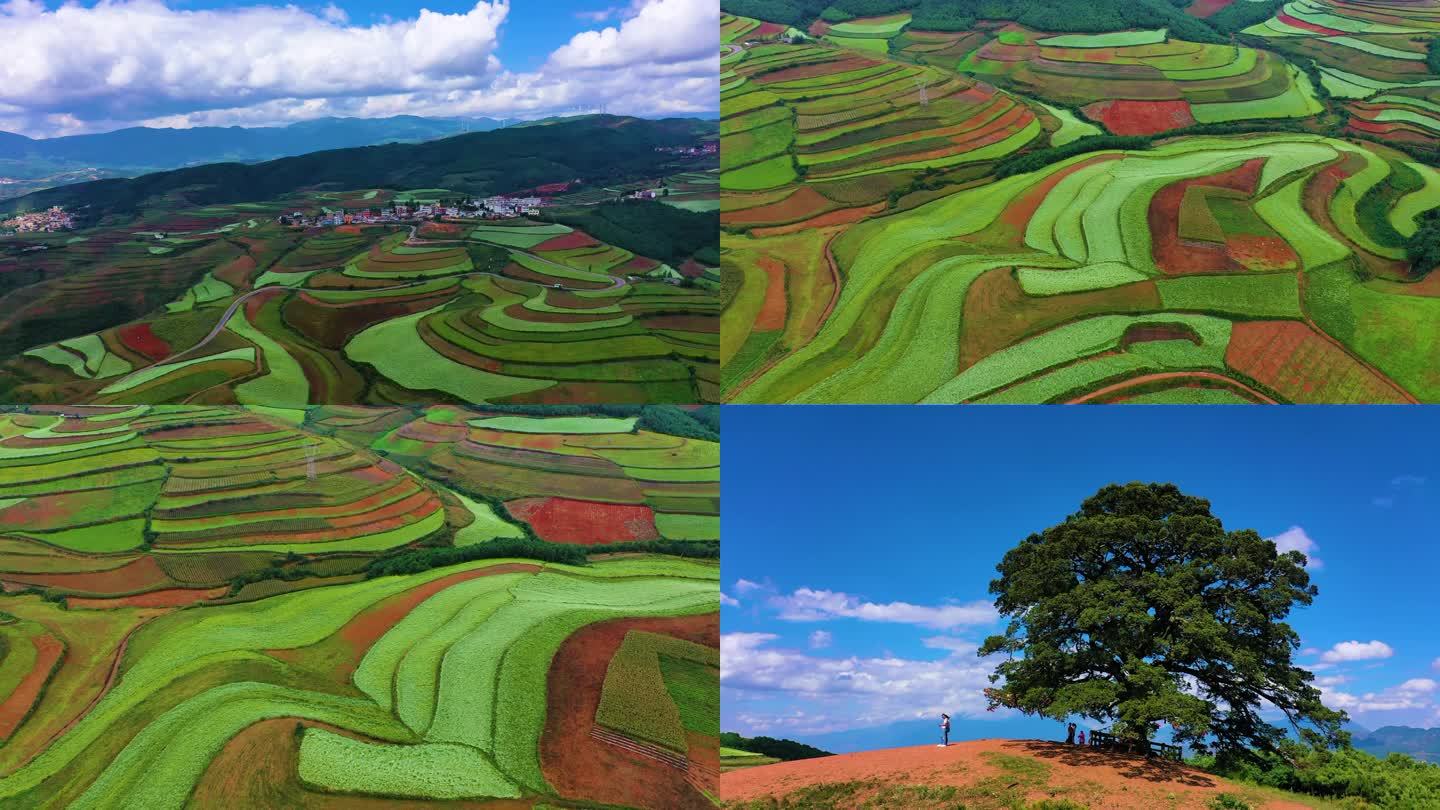 东川红土地航拍