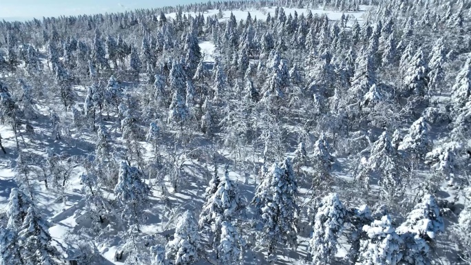 雪景