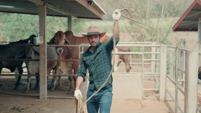 乡村牛仔生活:美国西部的户外牲畜管理、牧牛和系绳技巧。
