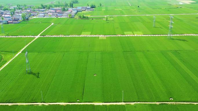 标准示范田麦地田地航拍7