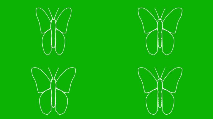 活泼的白蝴蝶扇动翅膀。线性符号。毛圈的视频。矢量插图隔离在绿色背景上。