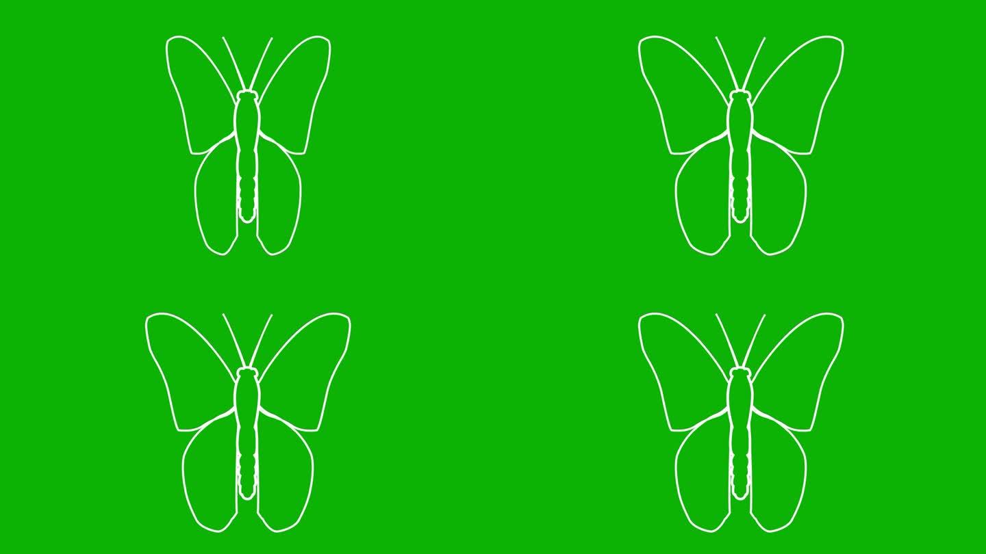 活泼的白蝴蝶扇动翅膀。线性符号。毛圈的视频。矢量插图隔离在绿色背景上。