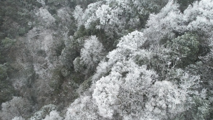 2023年12月，贵州台江雪