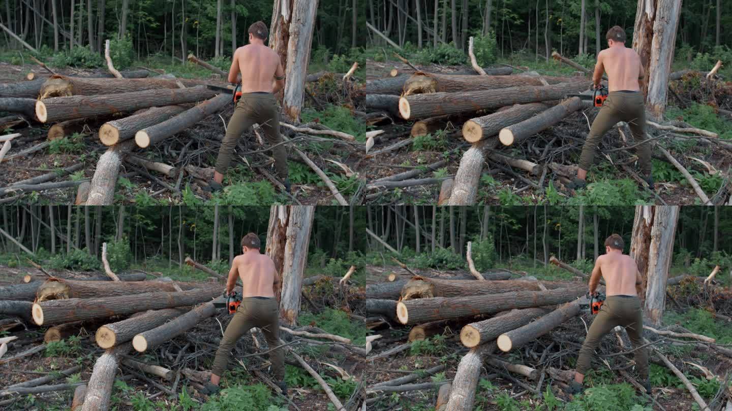 背面罕见的裸露上身的性感护林员与樵夫砍柴