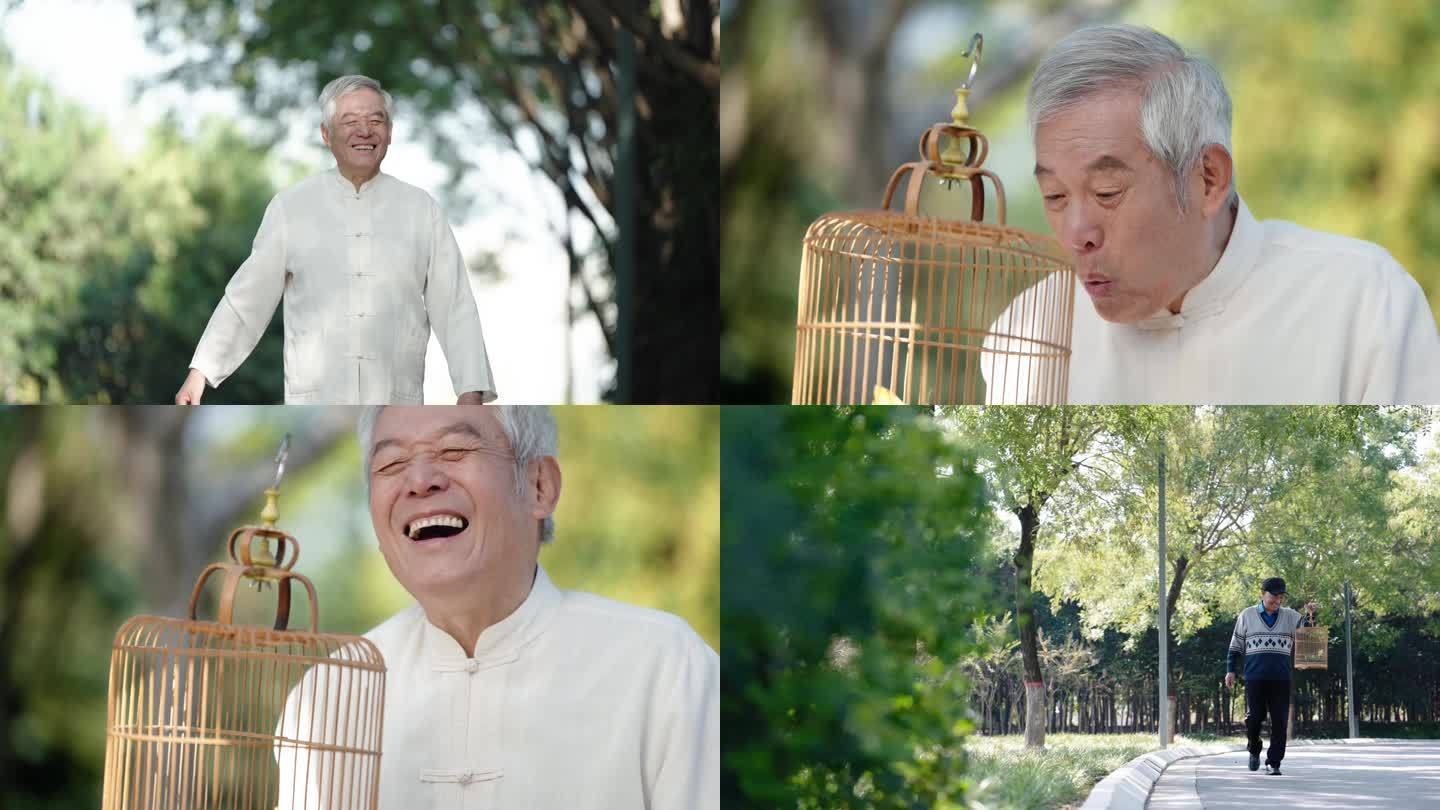老年人公园遛鸟生活幸福身体健康