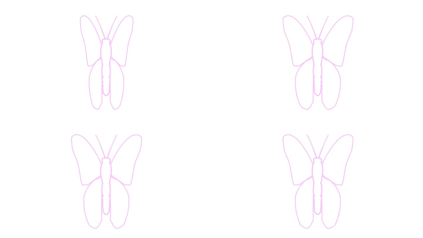 动画粉线蝴蝶扇动翅膀。线性符号。毛圈的视频。矢量插图隔离在白色背景上。