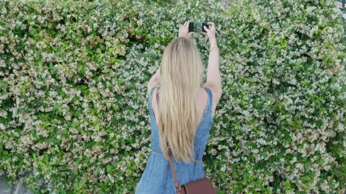度假的女游客用智能手机拍满墙的花。女孩用手机分享生活方式的照片，发短信享受假期旅行探险中的暑假